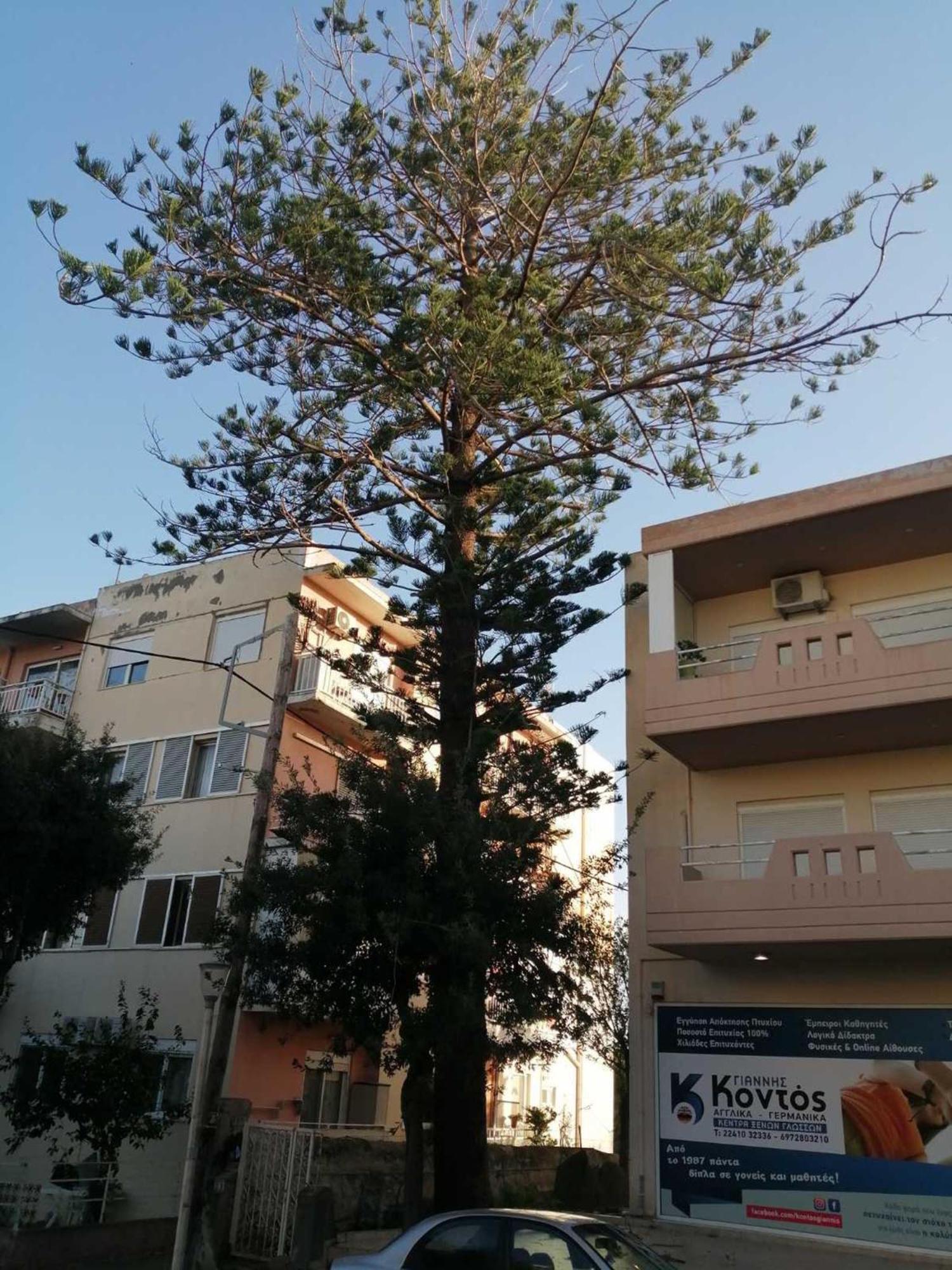 Apartment 29 Rhodes City 外观 照片